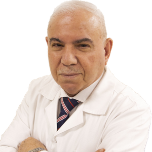 Hasan Mohamed MAMIK